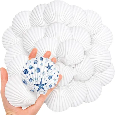 Obrázok produktu pre Jakořiny mušlovité, prírodná farba, 20 kusov, 5-7,5 cm, vhodné na dekoráciu