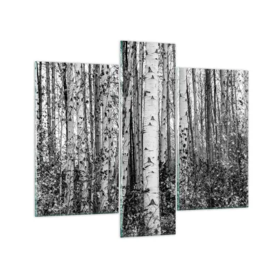 Produktbild von Bilder auf glas - 3 Teile - Birken Wald Monochrom - 95x80cm - Glasbilder - Wandbilder - Bilder - zum Aufhängen bereit - Wanddekoration aus Glas - Glas Bilder - Wandbild auf Glas - GCB95x80-4643