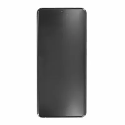 Produktbild von Original Display Samsung Galaxy S21 Ultra 5G G998B Phantom Silber GH82-26035B