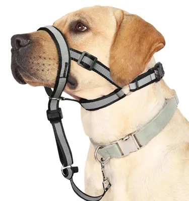 Productafbeelding van Reflecterende halsband voor grote honden, voorkomt trekken, muilband voor grote rassen