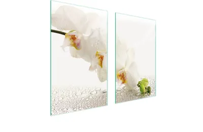 Produktbild von Glasschutzplatte Für Herd 75X52 Orchidee