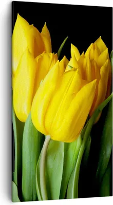 Produktbild von Bild auf Leinwand - Leinwandbild - Tulpen Strauß Spiegelreflexion grün - 45x80cm - Wand Bild - Wanddeko - Leinwanddruck - Bilder - Kunstdruck - Leinwand bilder - Wandkunst - PA45x80-0509