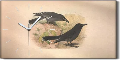 Produktbild von Wandbild Leinwand Bilder mit Uhr 60x30 Vögel Wild Tiere Zeichnung Kunst - weiße Hände