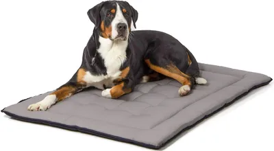 Produktbild von gestepptes Hundekissen 130 x 90 cm, schwarz/grau bei 95°C waschbar für Hunde