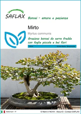 Immagine prodotto di SAFLAX  - Mirto - 30 semi - Myrtus