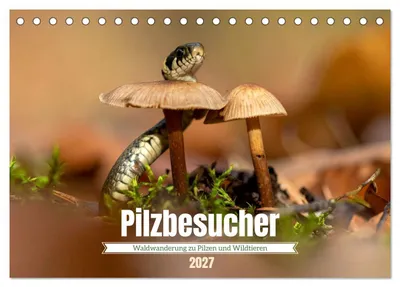 Produktbild von Pilzbesucher (Tischkalender 2027 DIN A5 quer), CALVENDO Monatskalender