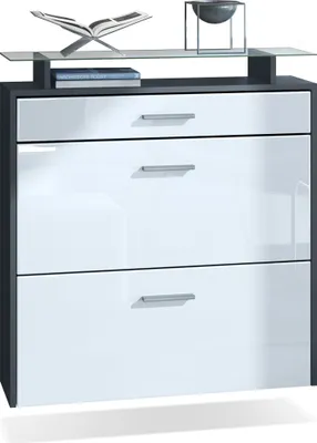 Produktbild von Vladon Schuhschrank Malea, Anthrazit matt/Weiß Hochglanz - hängender Schuhkipper für 16 Paar Schuhe (89 x 96 x 23 cm)