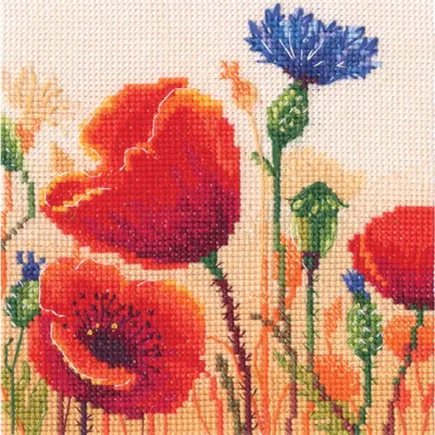 Image de RTO Kit de broderie au point de croix "Fleurs de coquelicots d'été", motif à compter, 12x12cm