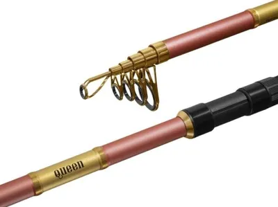 Obrázok produktu pre Delphin Queen Tele Prút 3,0 m 100 g 6 dielov