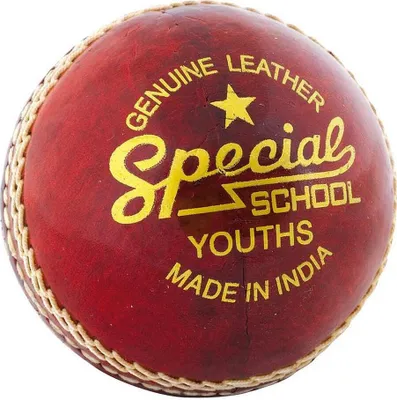 Image de Readers - Balle de cricket en cuir "Special School" pour enfants RD1428 (taille unique) (Rouge)