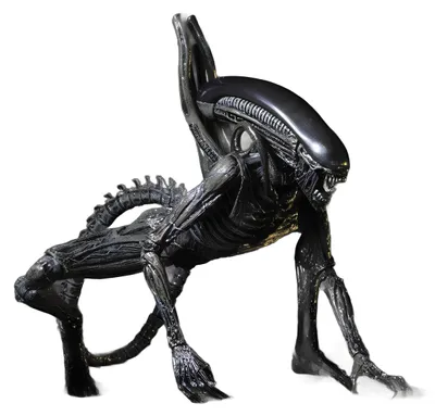 Produktbild von Xenomorph-Figur aus dem Film "Aliens" 18 cm, Action-Sammelfigur