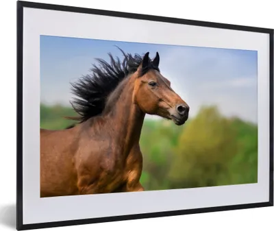 Produktbild von MuchoWow® MuchoWow® Gerahmtes Poster Pferd - Tier - Mähne - Braun 60x40 cm - Poster mit zchwarzem Bilderrahmen - Schlafzimmer - Plakat in Rahmen - Drucken