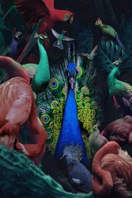 Produktbild von Glasgemälde Vogelparade 80 x 120 cm