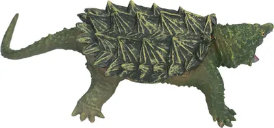 Produktbild von Schnappschildkrötenmodell, hohe Simulation, handbemaltes Tierspielzeug für Heimdekorationen, Geschenke, Lehrmittel