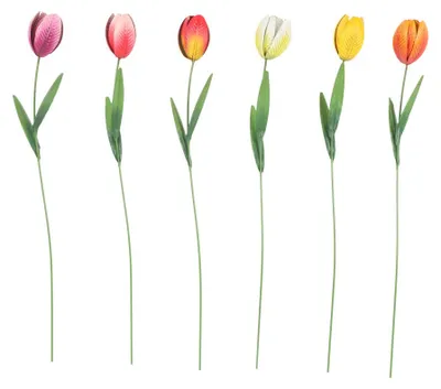 Produktbild von Flamingo Gartenstecker Tulipa Metall 10 x 60 cm mehrfarbig