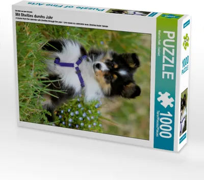 Produktbild von Calvendo Ein Motiv aus dem Kalender Mit Shelties durchs Jahr 1000 Teile Puzzle hoch 480x640mm, Reiß - Seibert Marion; 7356123