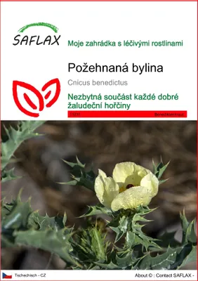 Obrázek produktu pro SAFLAX - požehnaná bylina - Cnicus benedictus - 50 Semena