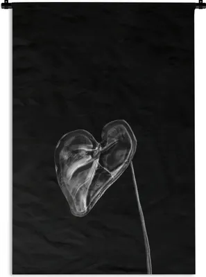Produktbild von MuchoWow® Wandteppich Wandbehang Herzförmiges Blatt auf schwarzem Hintergrund - schwarz und weiß 90x135 cm Tapisserie Dekoration Wandtuch - Baumwolle - Wandskulptur