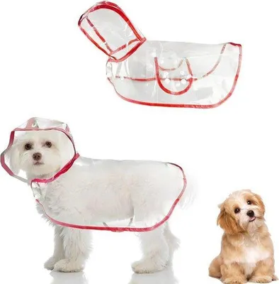 Immagine prodotto di Tuta impermeabile per cani e gatti - Rossa (M)