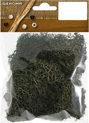 Produktbild von Getrocknetes Islandmoos grün 25 Gramm für Bastelarbeiten und Dekorationen