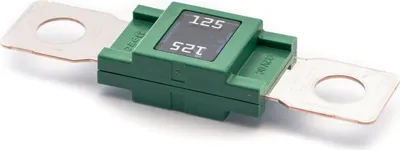 Produktbild von Leistungssicherung Mega grün 125A