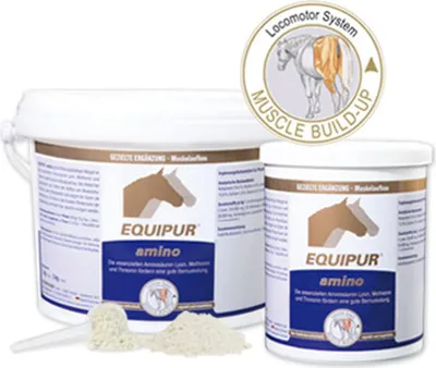 Produktbild von EQUIPUR - amino 1 kg (Pulver)