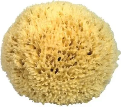 Produktbild von Naturschwamm P190 Premium, ca. 19cm