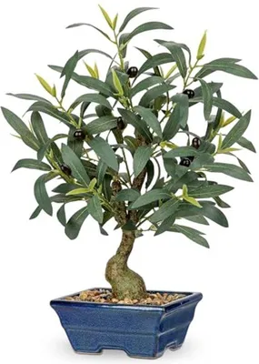 Produktbild von Kunstmatige Olijfboom in Keramische Pot, 44 cm Kunstmatige Kamerplanten mit Olijftakken und Früchten für Wohnzimmer und Büro