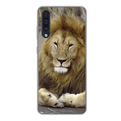 Produktbild von MuchoWow® Handyhülle Schutzhülle Hülle für Samsung Galaxy A50 Löwe - Afrika - Tier Silikon Softcase Handy Hülle - Mobiltelefonhülle