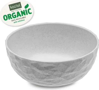 Obrázek produktu pro koziol 4004670, Polévková miska, Kulatý, Plast, Šedá, 16 cm, 63 mm