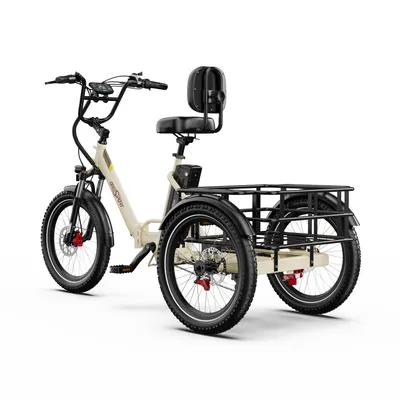 Produktbild von 20 Zoll*3.0 Elektro-Dreirad 18Ah MIT Korb E-Bike Lastenfahrrad E-Bike Klappräder Bafang Motor Aluminium 180KG Drehmomentsensor Rückwärtsfahfunktion