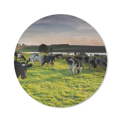 Produktbild von MuchoWow® Mauspad Mousepad Kuh - Gras - Sonnenuntergang 40x40 cm - Mousepads - Maus Mat - Pad - Mausunterlage - Schreibtisch Accessoires