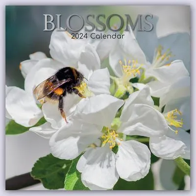 Produktbild von Blossoms - Blüten 2024 - 16-Monatskalender