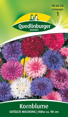 Produktbild von Quedlinburger Saatgut - Kornblume Gefüllte Mischung - Samen - 506652
