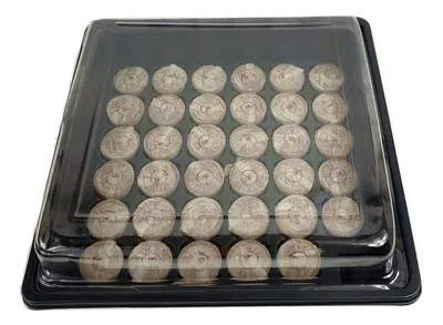 Produktbild von Anzucht Gewächshaus mit 35 Quelltabletten aus Kokos