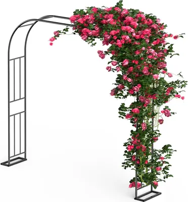 Imagen del producto de Estructura metálica para plantas trepadoras, con ancho ajustable de 120 a 240 cm y altura de 240 cm