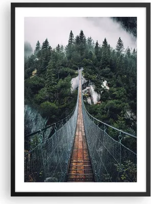 Produktbild von Gerahmtes Poster - Schwarzer Rahmen - Ausgesetzt Brücke Wald - 50x70 cm - Wand Bild - Wanddeko - Wandbilder - Kunstposter - Wandposter - Bilderrahmen - Bilder - Kunstdruck - P2BPA50x70-5189