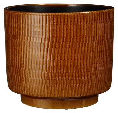 William Topf rond Ocker