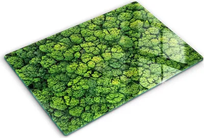 Produktbild von Abdeckung Glas - Küchenabdeckung - 80x52 cm - Abdeckplatte -Naturmoospflanze