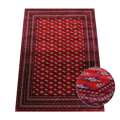 Obrázek produktu pro Kusový koberec 200x290 cm ADELANTO 2 - vzorovaný / červený