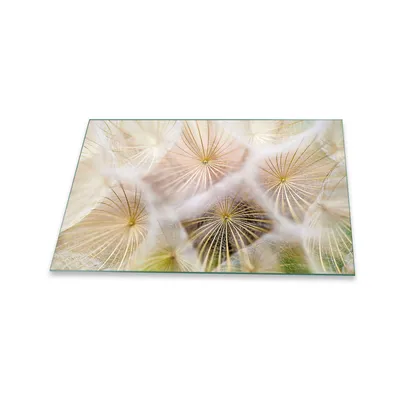 Produktbild von Herdabdeckplatte Glaskeramik 80x52 Pusteblume Weiß Abdeckung Glas Spritzschutz Deko