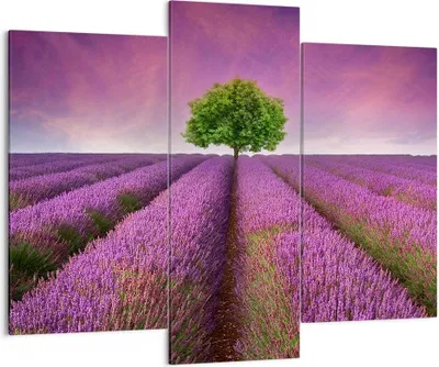 Produktbild von Bild auf Leinwand - Leinwandbild - Wiese lavenda Sommer Landschaft - 130x100cm - Wand Bild - Wanddeko - Leinwanddruck - Bilder - Kunstdruck - Leinwand bilder - Wandkunst - CB130x100-2605