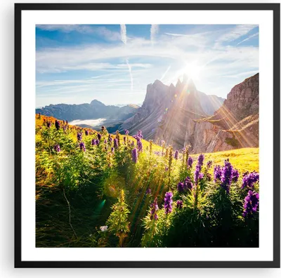 Produktbild von Gerahmtes Poster - Schwarzer Rahmen - Berge Wiese Blumen - 60x60 cm - Wand Bild - Wanddeko - Wandbilder - Kunstposter - Wandposter - Bilderrahmen - Bilder - Kunstdruck - Wandbild - P2BAC60x60-4008