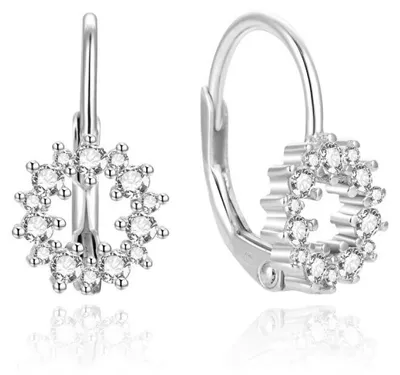 Immagine prodotto di Eleganti orecchini in argento con zirconi AGUC2213L