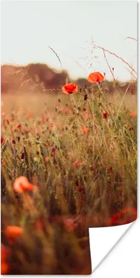 Produktbild von MuchoWow® Poster Sonnenuntergang - Blumen - Rot 60x120 cm - Wandschmuck
