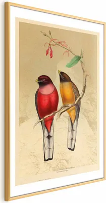 Produktbild von Posterpapier Poster - Birds on a Branch 40x60 cm Tiere g-C-0136-ao-a