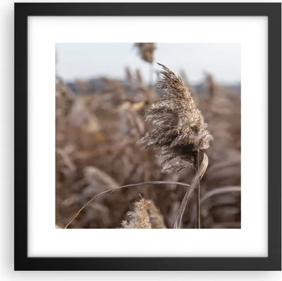 Produktbild von Gerahmtes Poster - Schwarzer Rahmen - Boho Ähren Gras - 30x30 cm - Wand Bild - Wanddeko - Wandbilder - Kunstposter - Wandposter - Bilderrahmen - Bilder - Kunstdruck - Wanddekoration - P2BAC30x30-4763