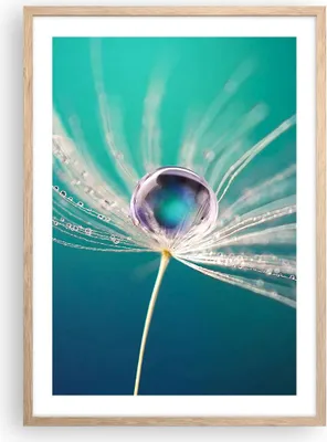 Produktbild von Gerahmtes Poster - Rahmen in heller Eiche - Pflanze Natur - 50x70 cm - Wand Bild - Wanddeko - Wandbilder - Kunstposter - Wandposter - Bilderrahmen - Bilder - Kunstdruck - Wandbild - P2NPA50x70-3991
