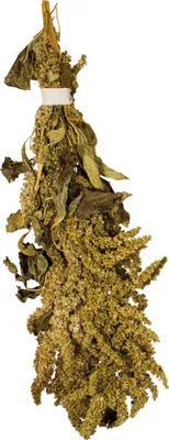 Obrázek produktu pro JR Farm Amaranth 30 gramů
