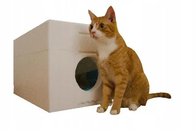 Produktbild von Katzenhaus